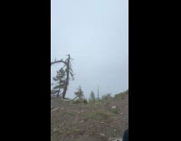 Friends realized they took a wrong turn during hike 