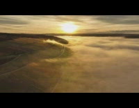 Time Lapse video of the fog motion above the vineyard field