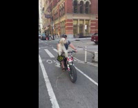 Dog with sunglasses and guy rides on motorcycle along the street 