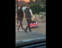 Collab Clips mpugc - Corgi crosswalk pink toy car