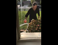 Compilation dad sneaks daughter drinks during quarantine 