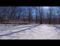 Time lapse snow melt tree shadow grass