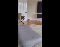 Orange Kitten Jump Fail 