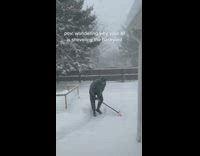 Guy shovels path for small short dog in snow 