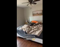 Dog playing with huge squeaky carrot plush toy