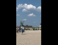 Collab WINY - Man carries plant give handshake to friend beach