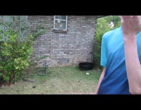 Kid taught brown dog to wash ball