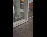 Pigeon got stuck between the restaurant glasses