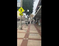 Women flash mob in the middle of the street