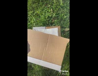 Woman dry flowers in 1 minute tutorial cardboard microwave