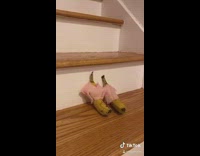 Bananas in pajamas song