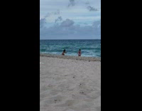 Four women bikini photo shoot beach shore