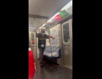 Man dress as queens monkey inside train