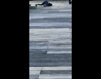 Woman on the ground twerks with her family around her