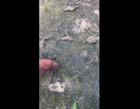 Man reacts to dried dirt on ground