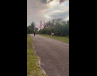 Guy shoots bow while riding electric onewheel