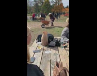 Woman maroon dress wheelbarrow pumpkin farm pictorial