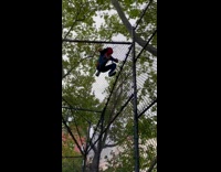 Collab winy - Spiderman climb crawl on metal net fence