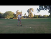 White Dog Steals Golf Balls From Old Guy Owner