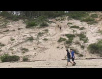 Three Kids Run Down Sand Dune Near Beach One Faceplants and Scorpions