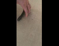 Guy recording friend wakeboarding and realize a fish is on boat