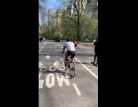 Mario luigi toy cars get pulled over 