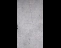 Collab PLC - Tabby cat follow filmer lay on ground