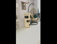 Cat plays with hanging white ball tower 