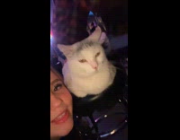 Drunk woman talks to cat at bar 