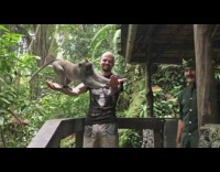 Monkey slaps black shirt guy runs away 