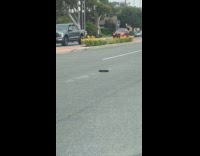 Collab Clips MPUGC - Lost roomba roaming middle of road 