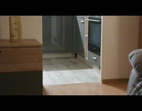 Big Cat Slinks Out of Kitchen Cupboard 