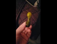 Small pickle with a weird form shown