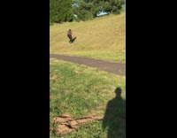 Guy holds one dumbbell both hands exercises