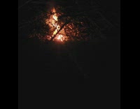 Time lapse of fire that grows in a bonfire