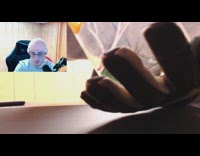 Man live streamer showed pet bug spider