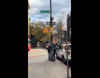 Easter rabbit pose on street firetruck police