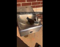 Sink water fountain with very low pressure