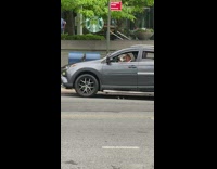Guy in car has pigeon sitting on arm