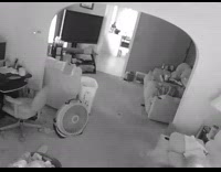Woman runs off her couch into room after burglar breaks in and sets off house alarm, black dog looks around