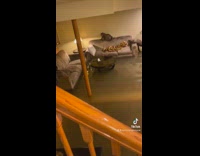 Collab BitchMP - Cat stuck on couch in flooded basement living room