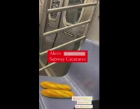 Lady rides subway next to bread 