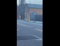 Collab winy - Two women cross street wear chicken inflatable mascot