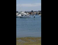 Guy on board gets pulled across water 