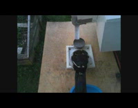 Magpies trained to collect litter for food