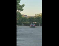 Man selfie video car roof convertible parking lot