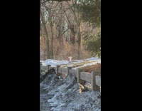 Woman white dress flap arms slowly park