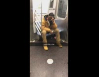 hair pillow man in brown leans head agains handful of hair