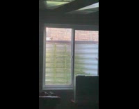 Collab DailyDoseOfInternet - Bird outside hit glass window multiple times Longer version