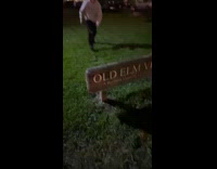 Guy hits head on sign backflip